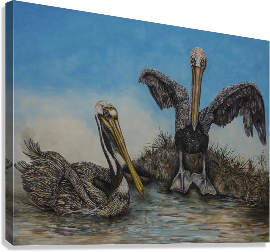 Two Pelquins Canvas Print