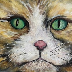 Sublime Feline