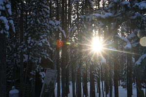 Cold Sun