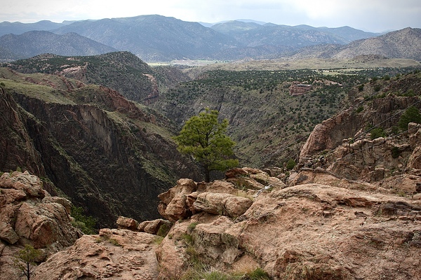 On The Edge by Cora Noelle