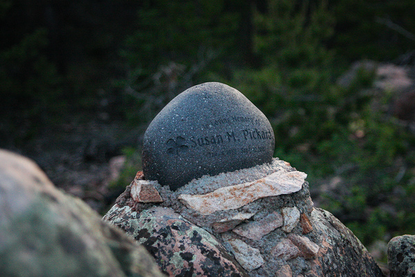 In Memory by Cora Noelle