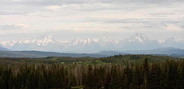 Tetons Landscape by Cora Noelle