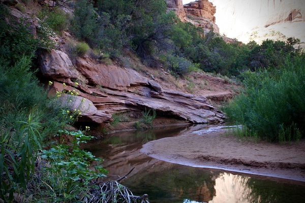 Valley Beauty by Cora Noelle