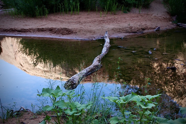 In The Stream by Cora Noelle