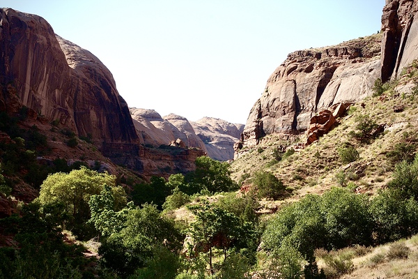 In The Valley by Cora Noelle