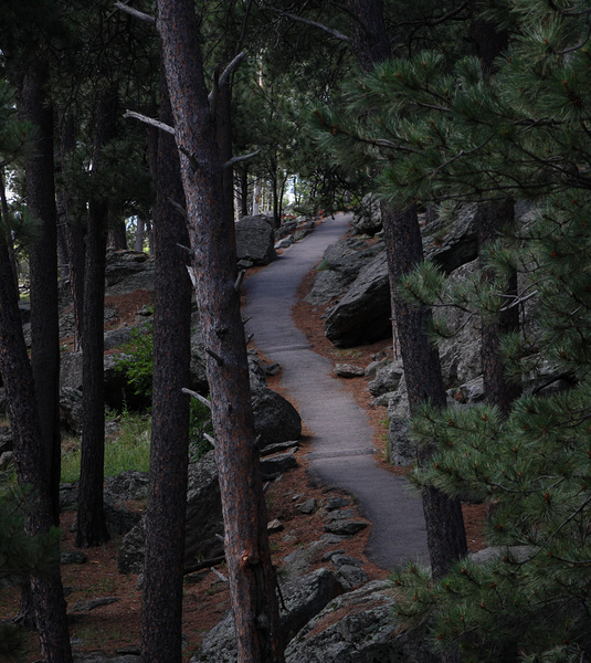 The Path by Cora Noelle
