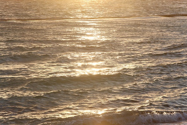 Golden Waves Print