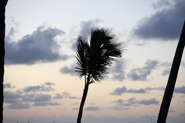 Morning Breeze Print
