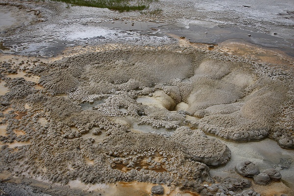 Odd Formation In Yellowstone by Cora Noelle