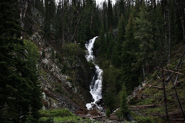A Beautiful Fall In Yellowstone by Cora Noelle