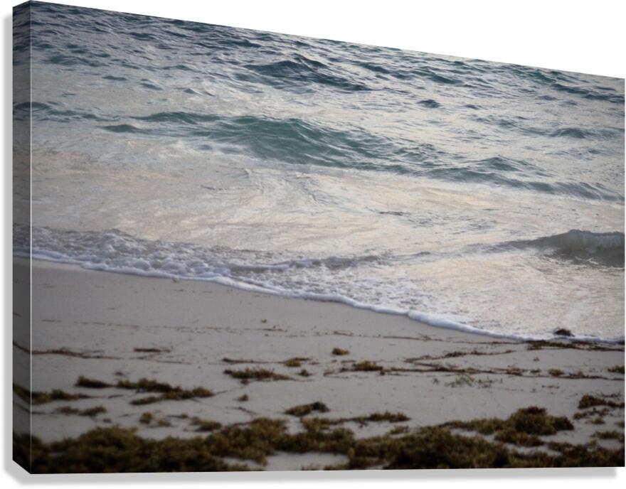 Peace  Canvas Print