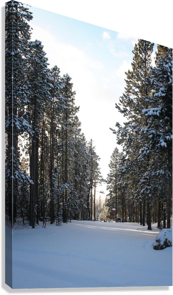 Quiet View Canvas Print