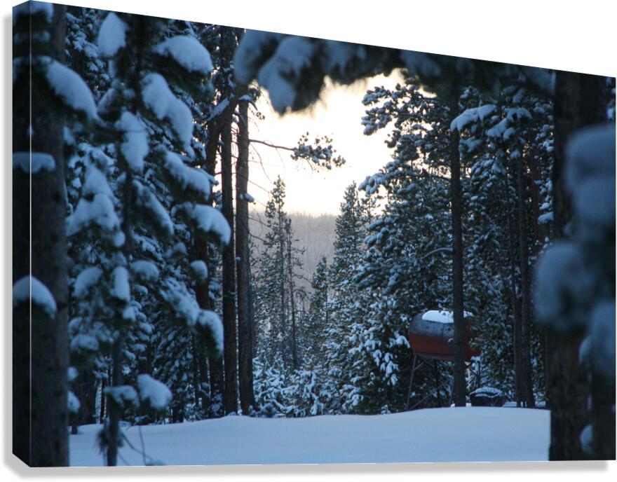 Out There Canvas Print