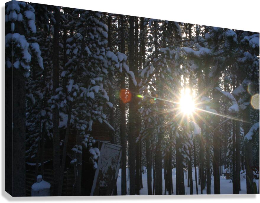 Cold Sun Canvas Print