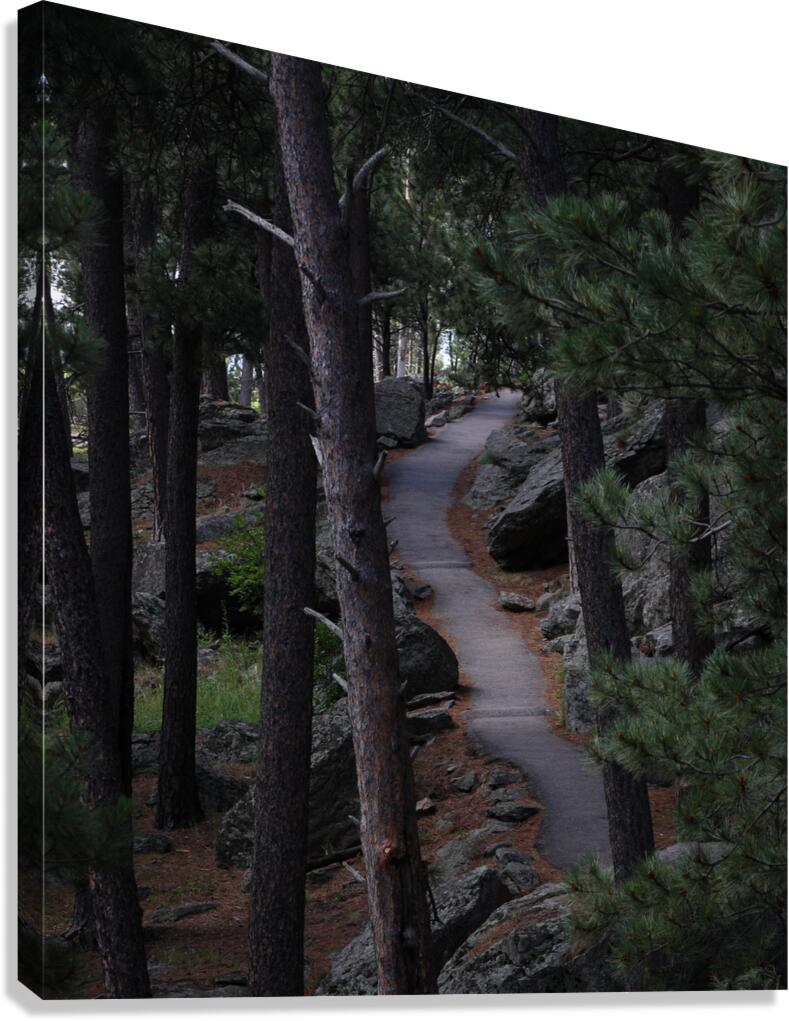 The Path Canvas Print