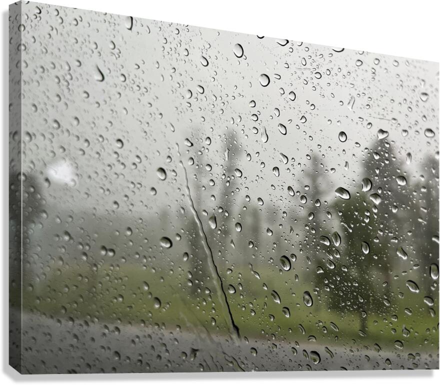 Through Rain Canvas Print