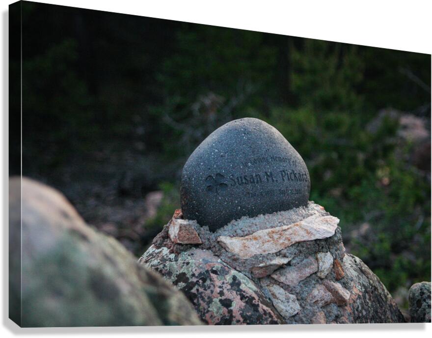 In Memory Canvas Print