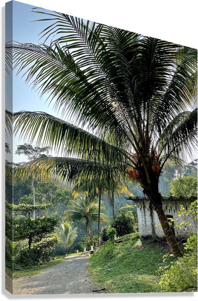 Palm Branches Canvas Print