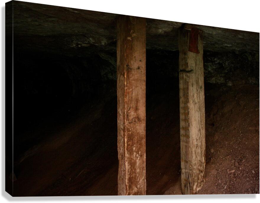 Dark Places Canvas Print