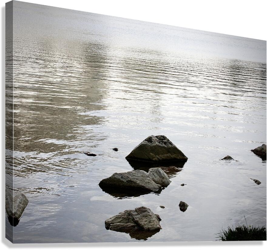 Quiet Canvas Print