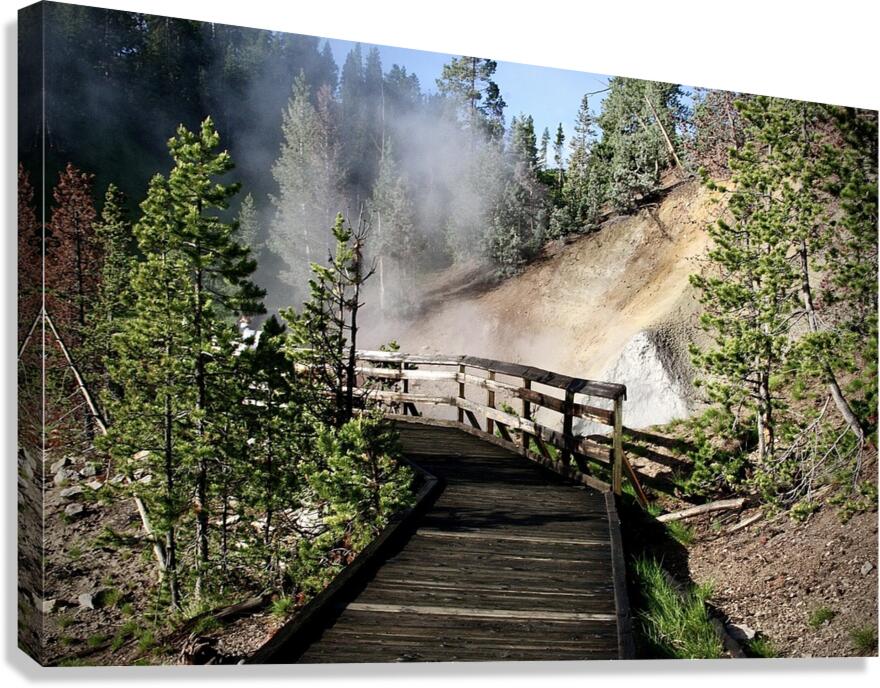 Bridge Through Steam Canvas Print