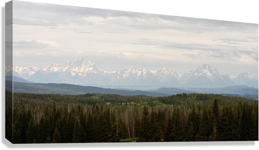 Tetons Landscape Canvas Print