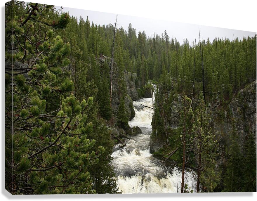 Yellowstone Waterfall Canvas Print