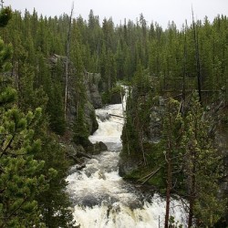 Yellowstone Waterfall