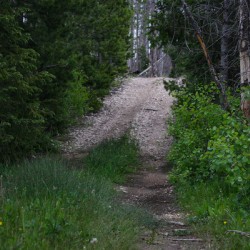 Narrow Path