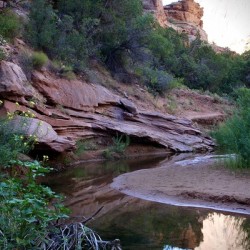 Valley Beauty
