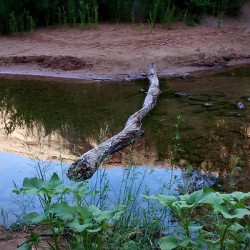 In The Stream