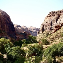 In The Valley