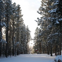 Quiet View
