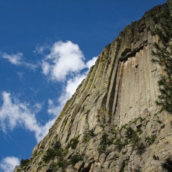 With The Sky