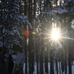 Cold Sun