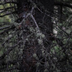 In Darkness