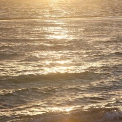Golden Waves