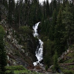 A Beautiful Fall In Yellowstone
