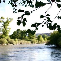 Morning On Wind River