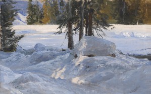 Wintersonne