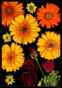 Mothers Day Flowers 1