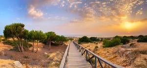 La Barrosa beach in Sancti Petri at sunset Cadiz Spain.