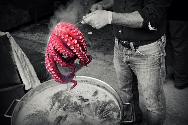 Octopus. by CreativePhotoSpain