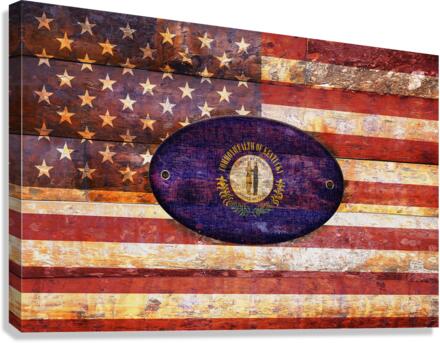 Kentucky flag Canvas Print