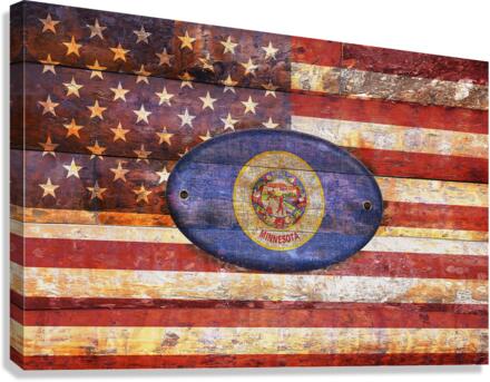 Minnesota flag Canvas Print