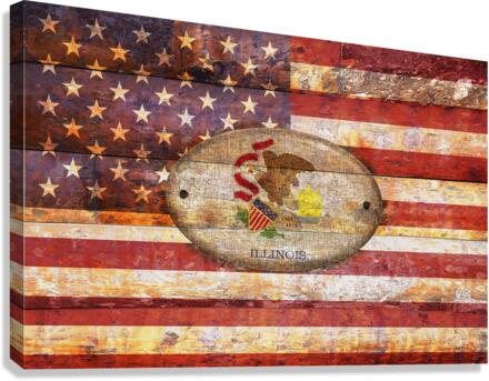 Illinois flag Canvas Print