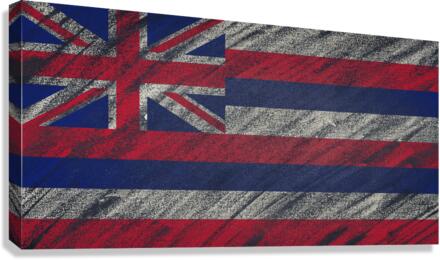 Hawaii flag Canvas Print