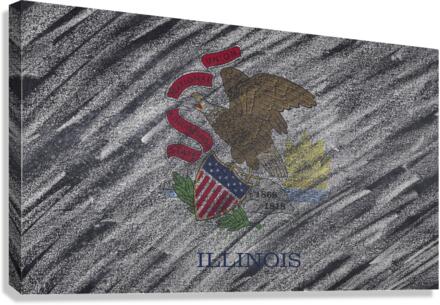 Illinois flag Canvas Print