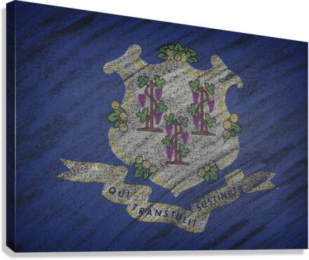 Connecticut flag Canvas Print