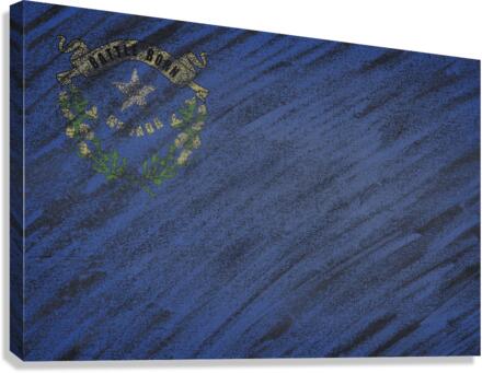 Nevada flag Canvas Print